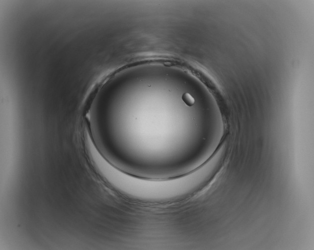 X0000114671357200910211142
