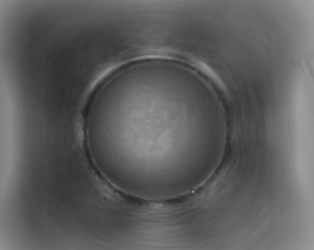 X0000114671360200910211142