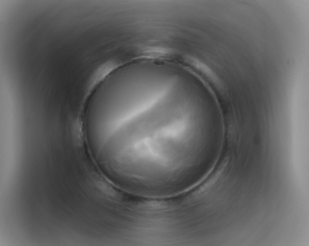 X0000114671362200910211142