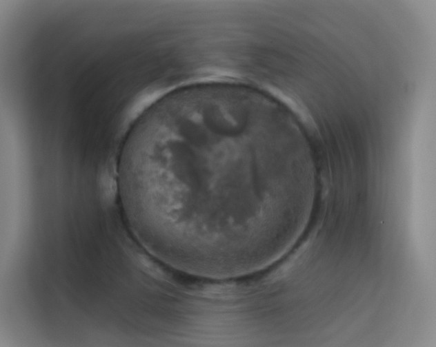 X0000114671363200910211142