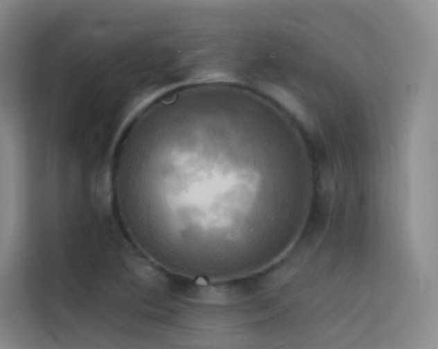 X0000114671364200910211142