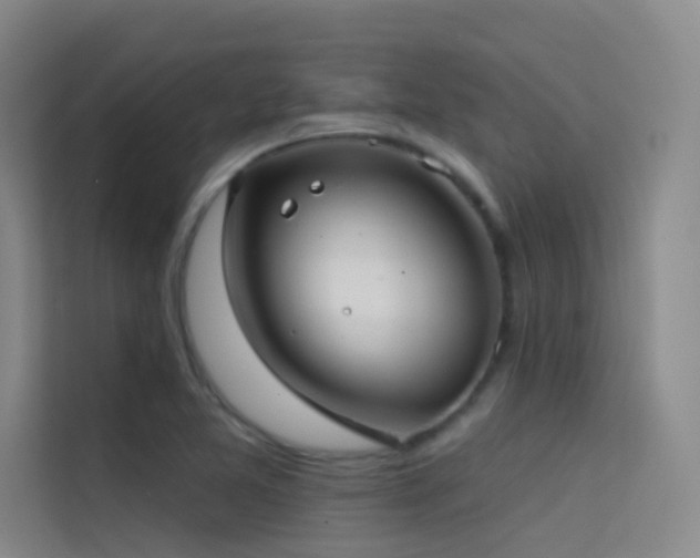 X0000114671365200910211142