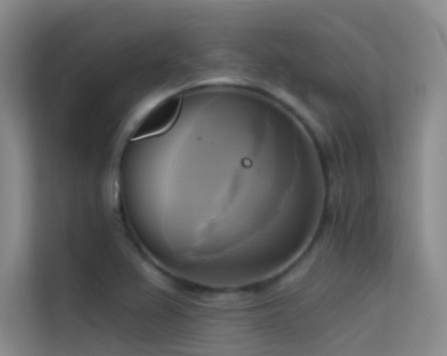 X0000114671367200910211142