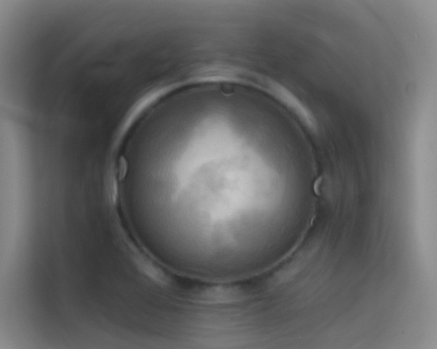 X0000114671368200910211142