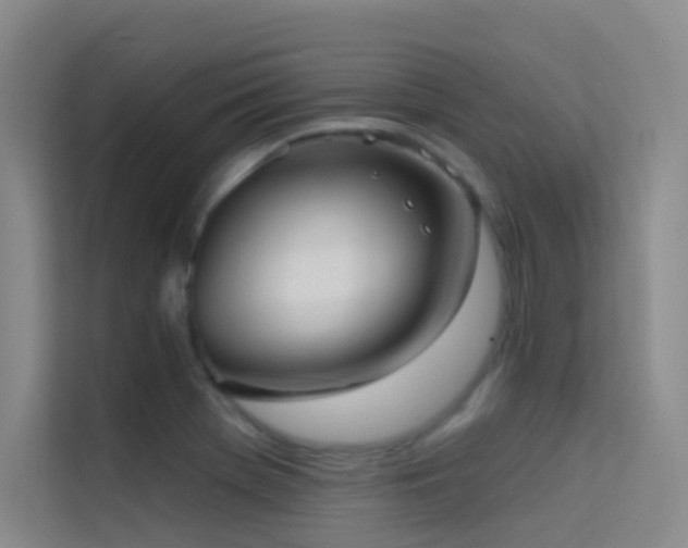 X0000114671369200910211142