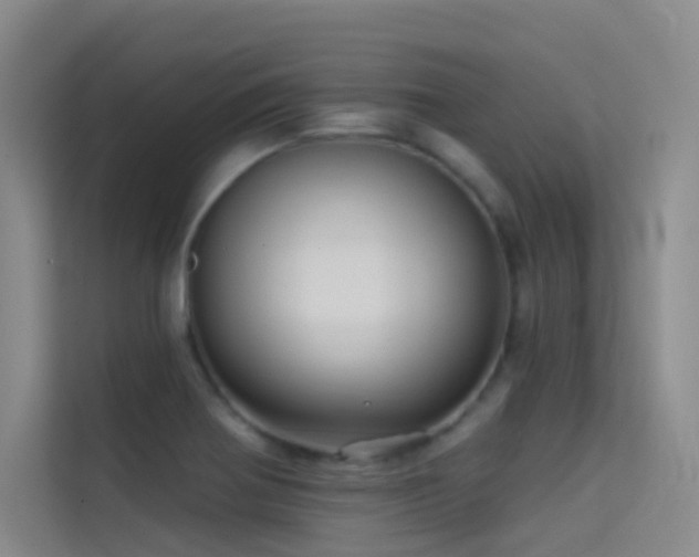X0000114671370200910211142