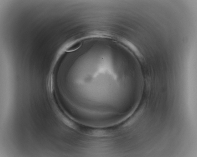 X0000114671371200910211142