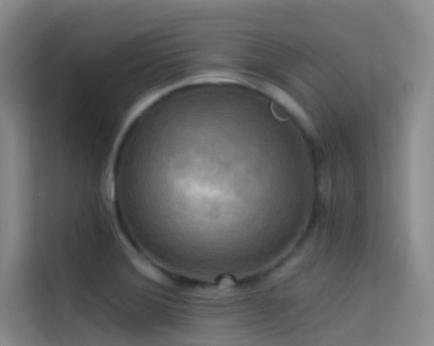 X0000114671372200910211142
