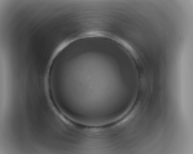 X0000114671373200910211142