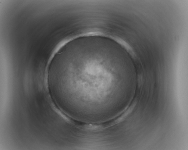 X0000114671374200910211142