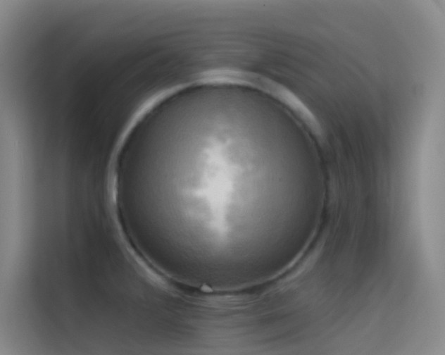 X0000114671376200910211142