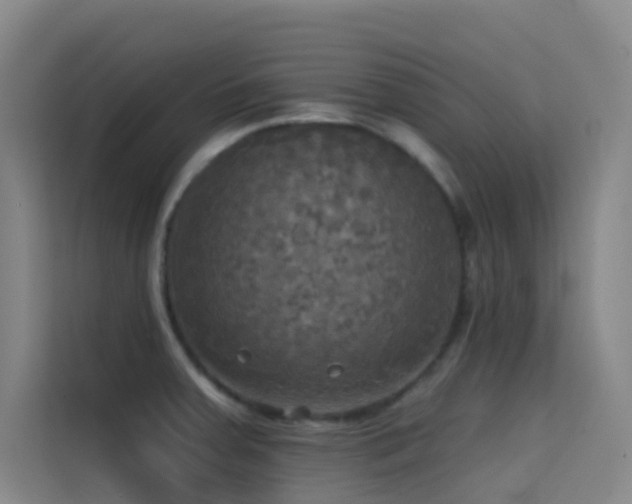 X0000114671379200910211142