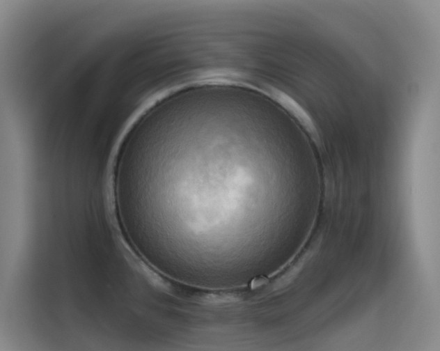 X0000114671384200910211141