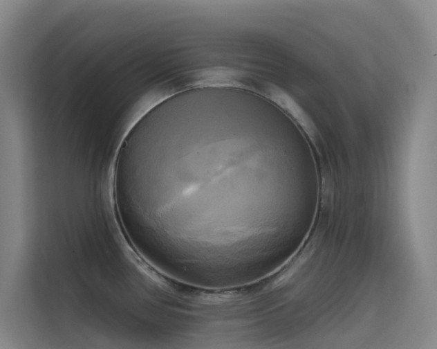 X0000114671386200910211141