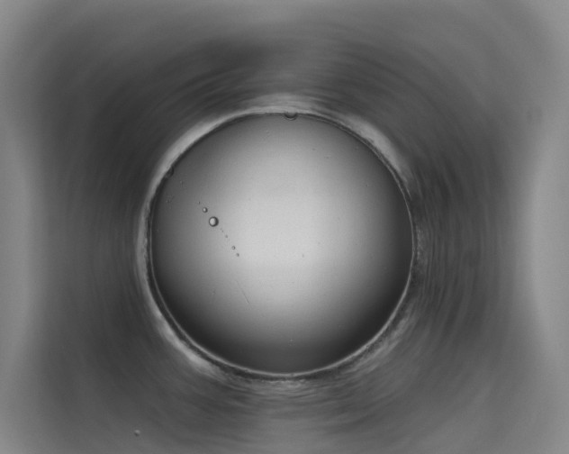 X0000114671387200910211141