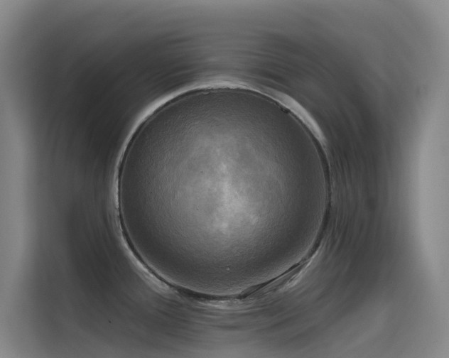 X0000114671388200910211141