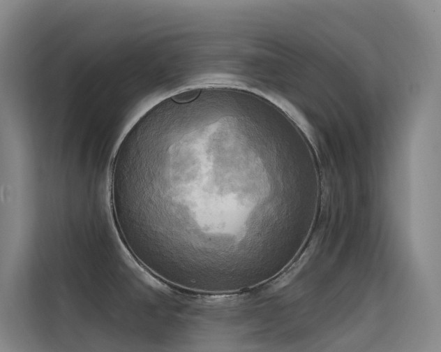 X0000114671390200910211141