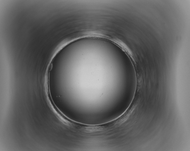 X0000114671391200910211141