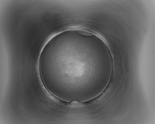 X0000114671392200910211141