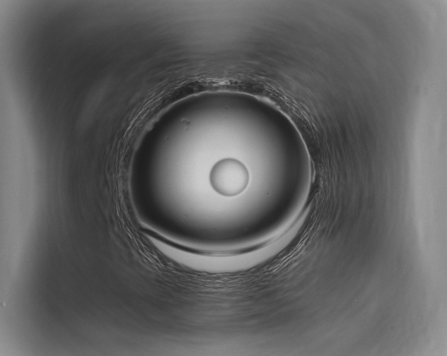 X0000114671393200910211141