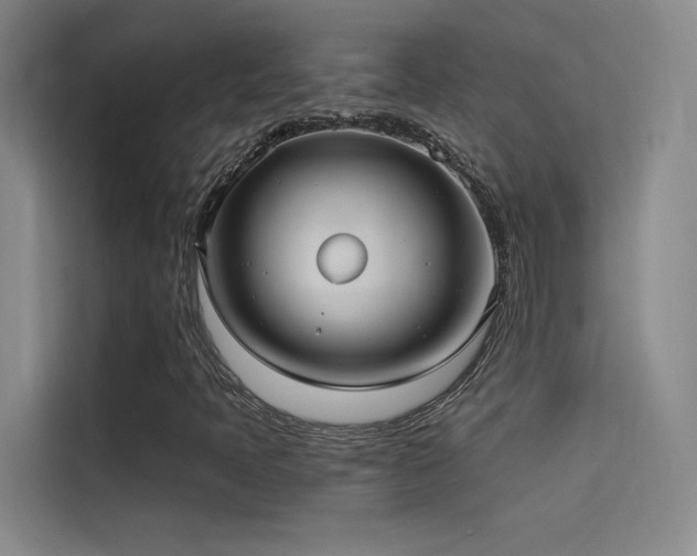 X0000114671397200910211141