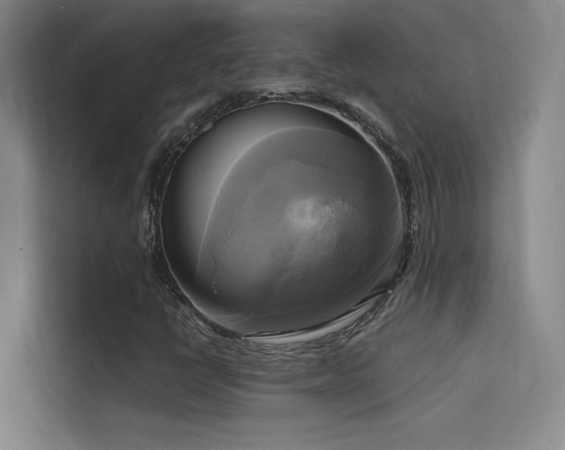 X0000114671398200910211141
