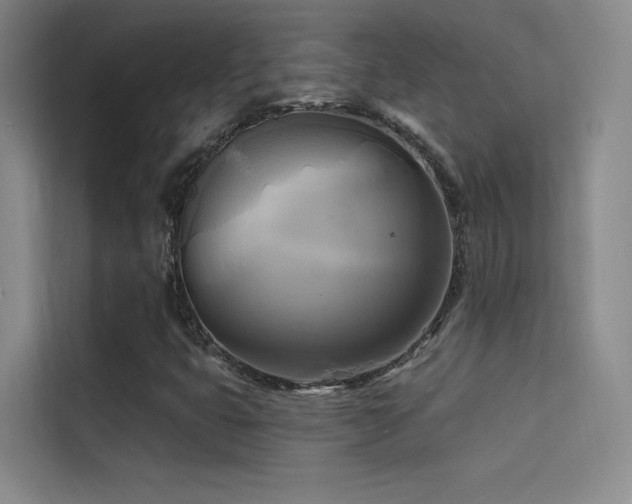 X0000114671399200910211141
