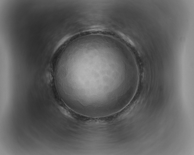 X0000114671400200910211141