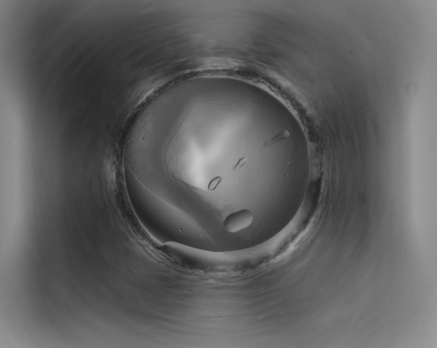 X0000114671401200910211141
