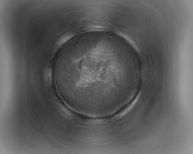 X0000114671402200910211141
