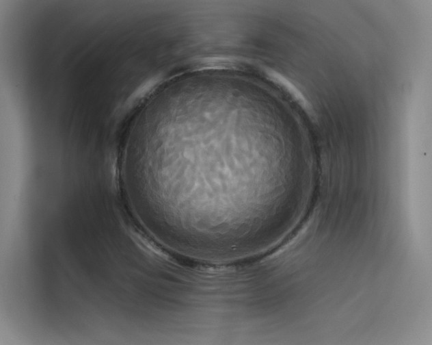X0000114671403200910211141