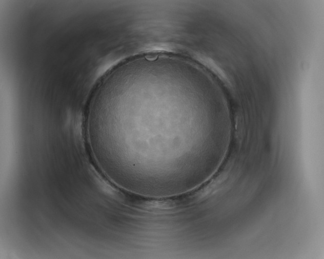 X0000114671404200910211141