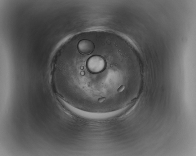 X0000114671406200910211141