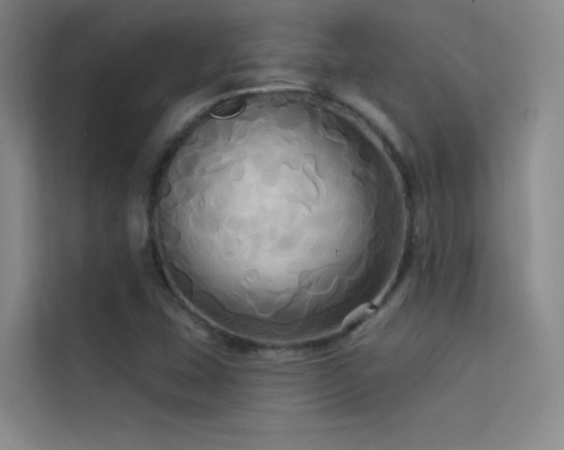 X0000114671407200910211141