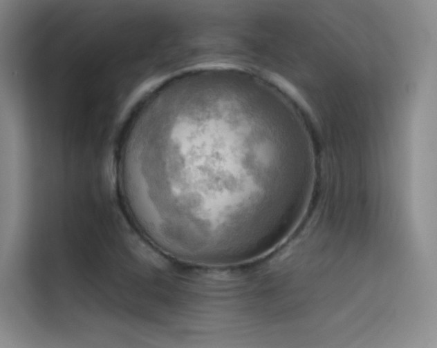 X0000114671408200910211141