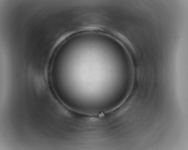 X0000114671412200910211141