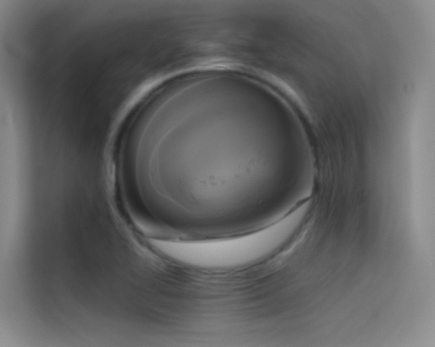 X0000114671414200910211141