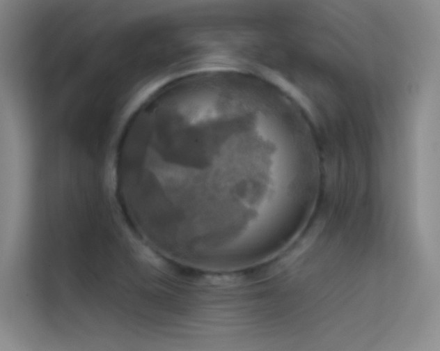 X0000114671415200910211141