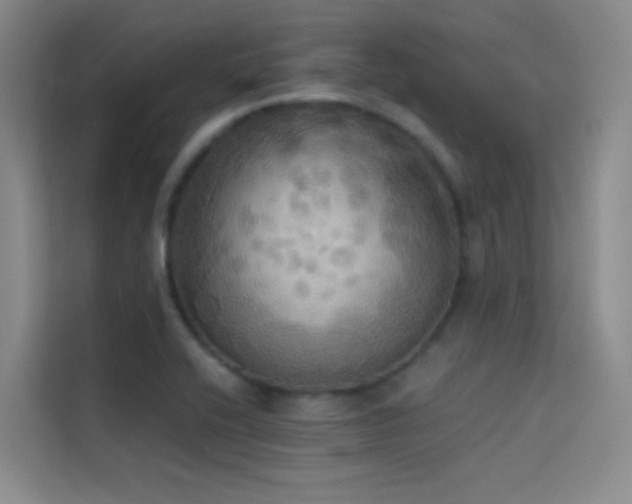 X0000114671416200910211141