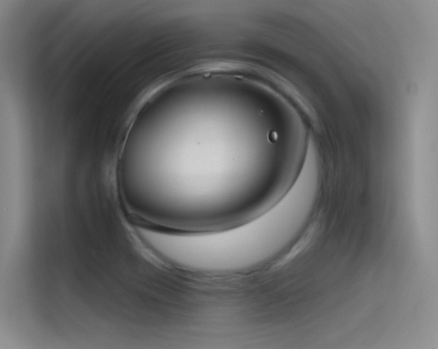 X0000114671417200910211141