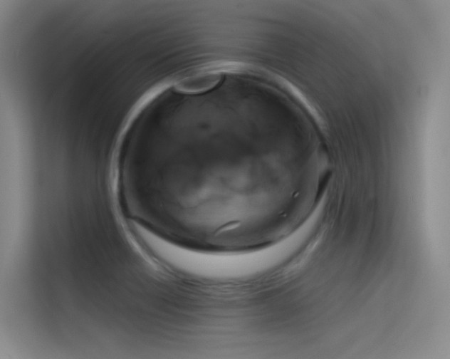 X0000114671418200910211141