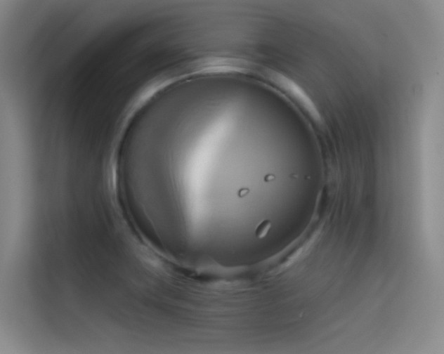 X0000114671419200910211141