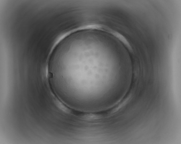 X0000114671420200910211141