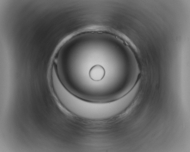 X0000114671421200910211141