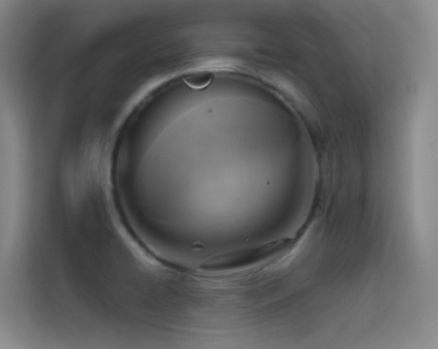 X0000114671422200910211141