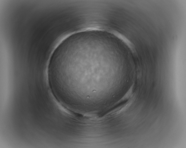 X0000114671423200910211141