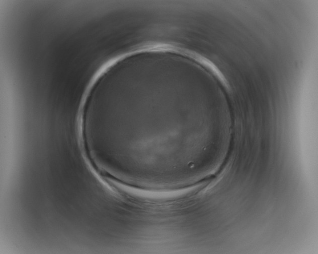 X0000114671424200910211141