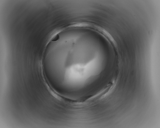 X0000114671425200910211141