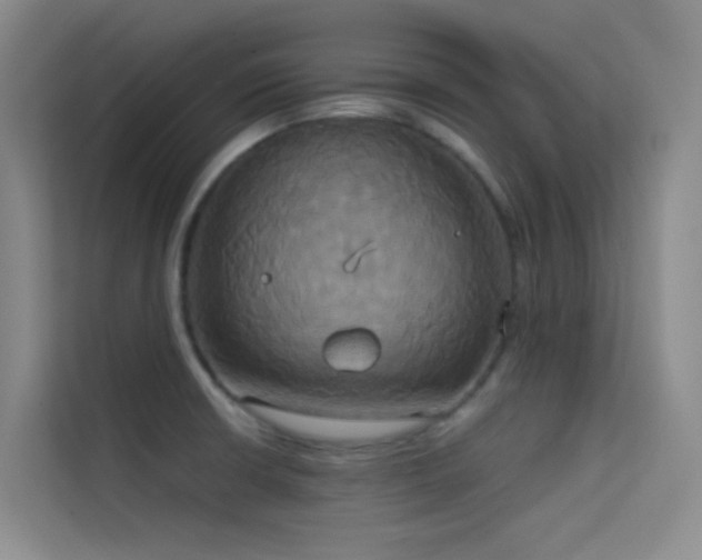 X0000114671426200910211141