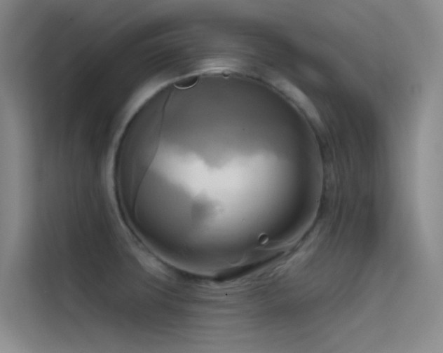 X0000114671427200910211141